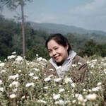 Phimphikun Pimmy profile icon