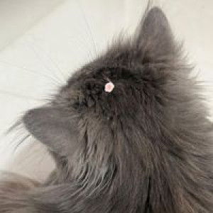 ฝน น. profile icon