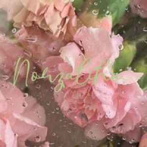 Nor Zaliha profile icon