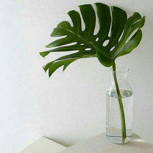 Nikmah Khasanah profile icon