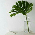 Nikmah Khasanah profile icon