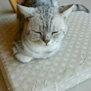 มนัสนันท์ ปานทอง profile icon