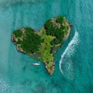 Roihana Hayeeduereh profile icon