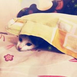 Muhaiminah Pallawagau profile icon