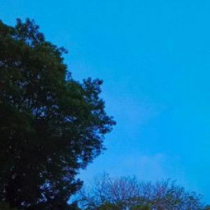 Fulana ibn Fulan profile icon