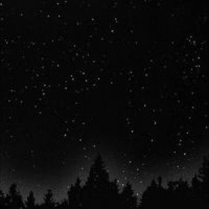 Parichat Sammueang profile icon