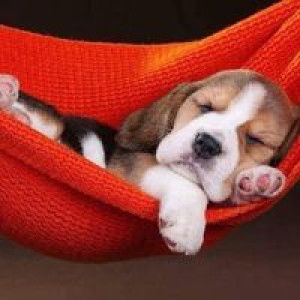 คุณ ปืน profile icon