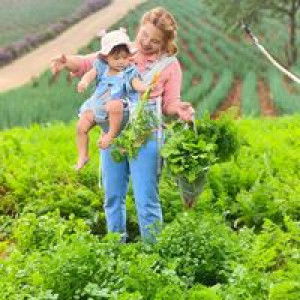 Ninew Petchara profile icon