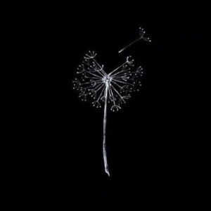 ayu dilah profile icon