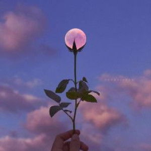 Jamalia Yahaya profile icon