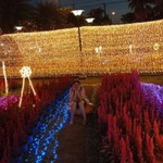 Looktan Mommay Wns profile icon