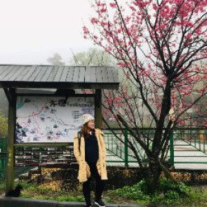 Haidee SJ profile icon