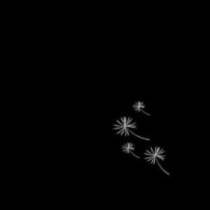 blxck bxnty profile icon