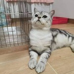 Pawinee Manee profile icon