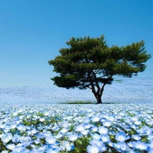 Nurlita Audita profile icon