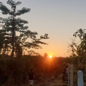 Marisa Luger profile icon