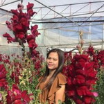 Jinky Mercado profile icon