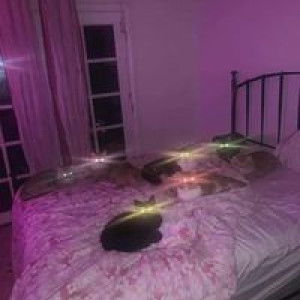 มิ้น ตะเตือนไต profile icon