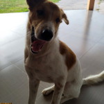 เอมิลี่ ฟาร์ซิล profile icon