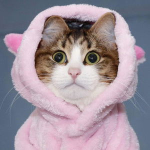 Kim Araya profile icon