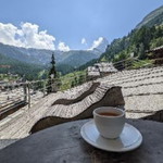 Foodandcoffee profile icon