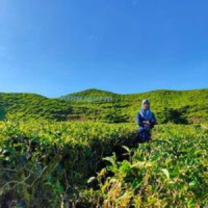 Eja Mia profile icon