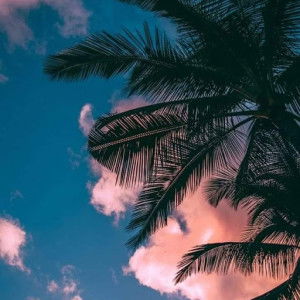 Riri Mae profile icon