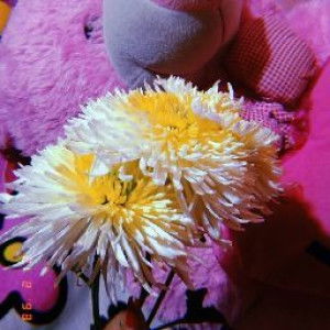 Ulfah az_zahra profile icon