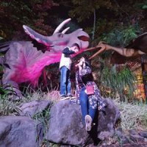 Lely Baihaqi profile icon