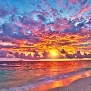 Nurul Nadia binti Baharin profile icon