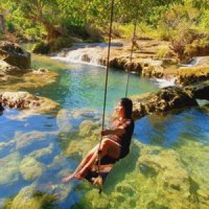 Lyn Martz profile icon