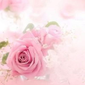 Ummu Sufyan Astauri profile icon