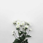 Fatimah Seedek profile icon