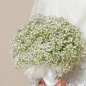 Siti Maisyaroh profile icon