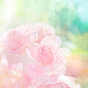 faiza caesar profile icon