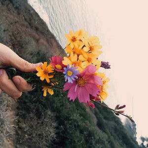 Zulfa Nafisah profile icon