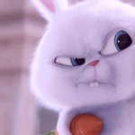 Hy Light하이라이그트 profile icon