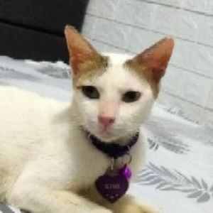 Audityra profile icon