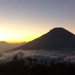 Elis Farmawati profile icon