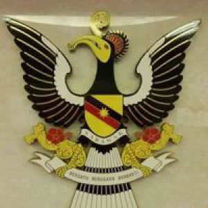 Nur Safina Saufi profile icon