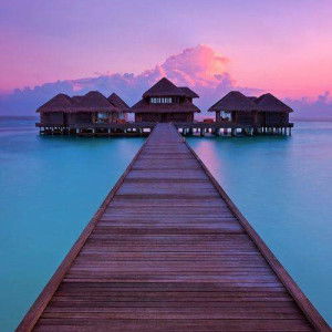 Suhaila Kamsan profile icon