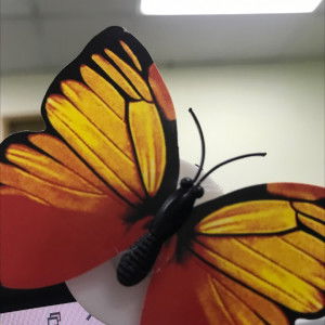 Izzati zaty profile icon