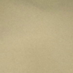 ayu ma'rufah profile icon