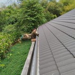 วนิดา รางน้ำฝน profile icon