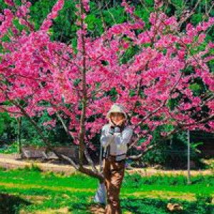 น้องแนน' จ๋า profile icon