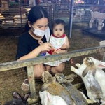 มิ่งกมล คุณภู่ profile icon