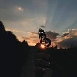 Jimmy Rosita Rosita Jimmy profile icon