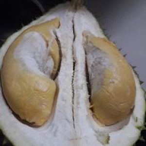 ปุ้ย ปุ้ย profile icon