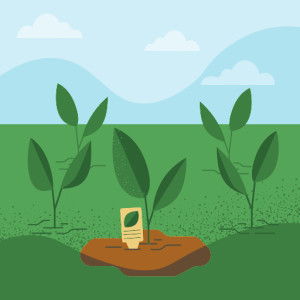 กุ้งนาง มิ่งจําปา profile icon