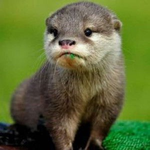 My Name profile icon